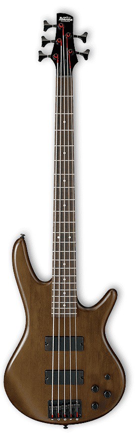 Ibanez GSR205B WNF - gitara basowa 5 strunowa