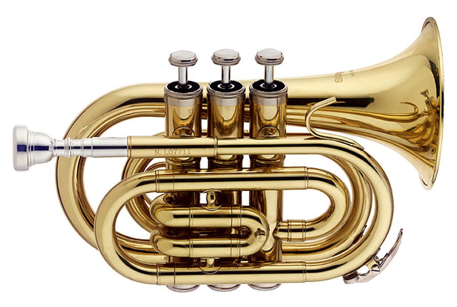 Stagg WS-TR245S - trÄ
bka Stagg WS-TR245S - trÄ
bka