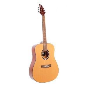 FLYCAT C100 NT - gitara akustyczna