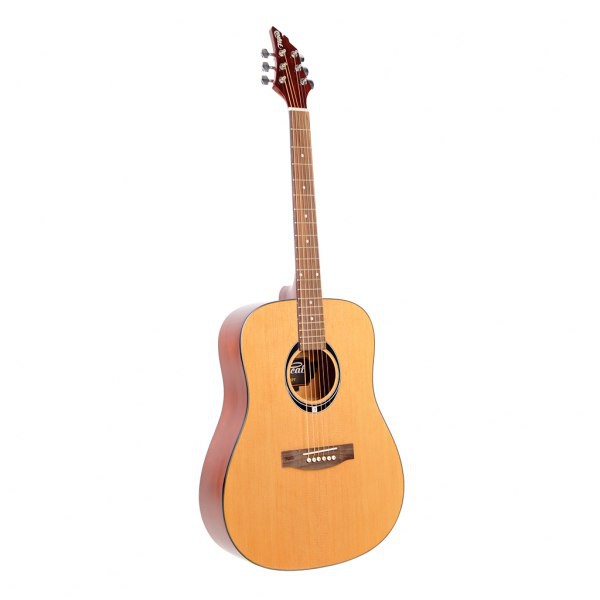 FLYCAT C100NT - gitara akustyczna FLYCAT C100 NT - gitara akustyczna