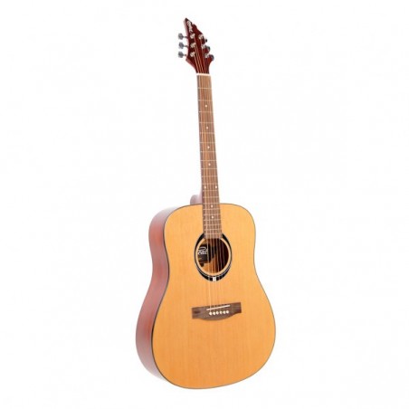 FLYCAT C100NT - gitara akustyczna