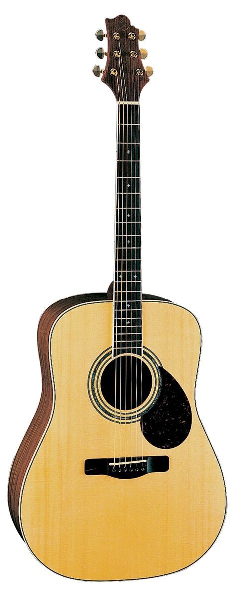 Samick D 6 N - gitara akustyczna Samick D 6 N - gitara akustyczna