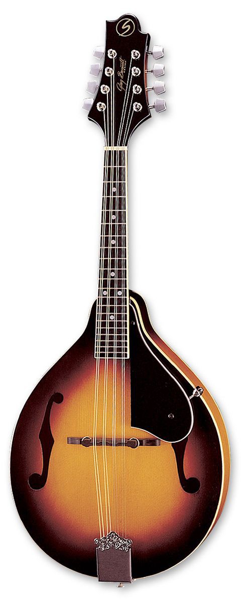Samick MA 1 VS - mandolina akustyczna 