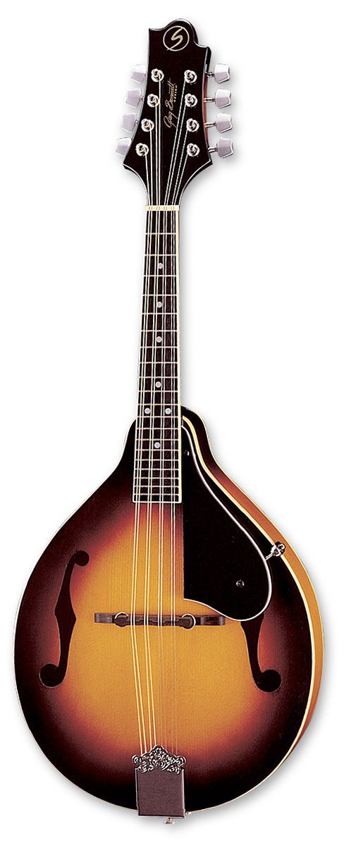 Samick MA 1 VS - mandolina akustyczna Samick MA 1 VS - mandolina akustyczna