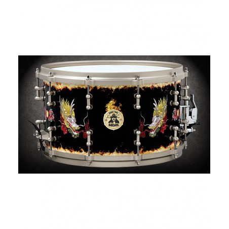 Ddrum Vinnie Paul Dragon - werbel 8