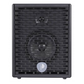 Prodipe Natural6 - combo akustyczne 140W