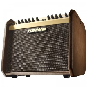 Fishman Loudbox Mini PRO-LBX-EX5 - gitarowe combo akustyczne