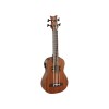 Ortega LIZZY-BS-GB - ukulele basowe