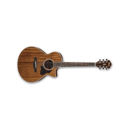 Ibanez AE245 NT - gitara elektroakustyczna