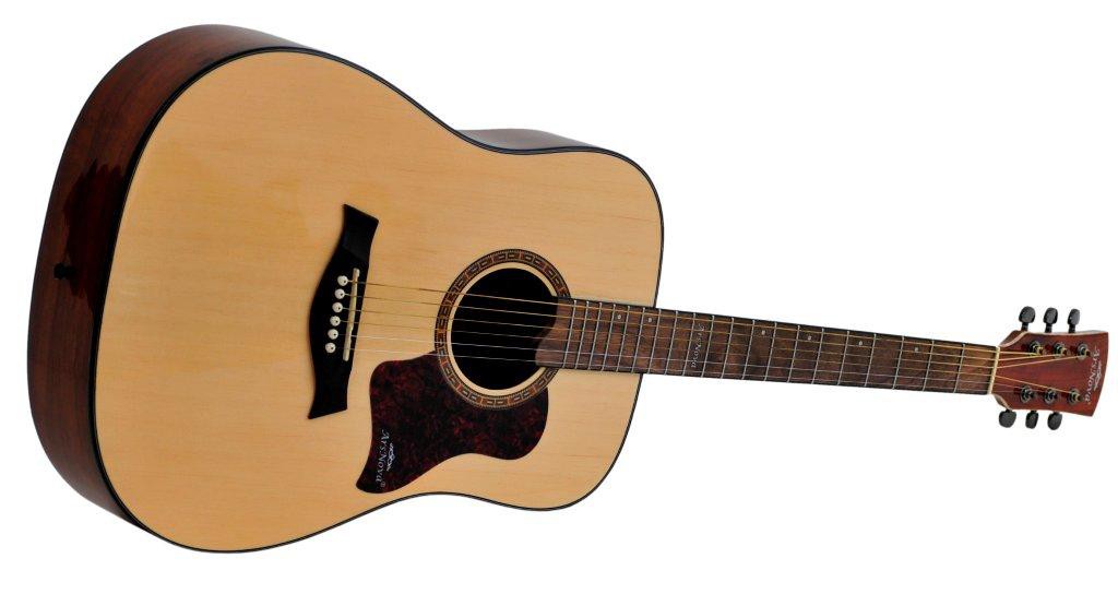 Ars Nova AN-500 - gitara akustyczna Ars Nova AN-500 - gitara akustyczna