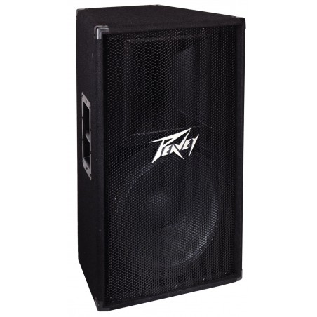 PEAVEY PV 115 Kolumna dwudrożna