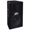 PEAVEY PV 115 Kolumna dwudrożna