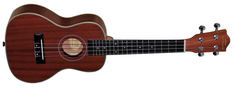 Ars Nova AN-100 C NT - Ukulele koncertowe