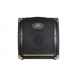 Peavey Ecoustic E20 - wzmacniacz akustyczny