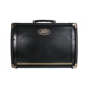 Peavey Ecoustic E208 - wzmacniacz akustyczny