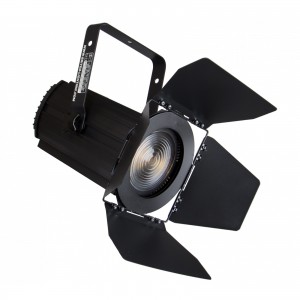 Briteq BT-THEATRE 100EC Mk2 - reflektor teatralny LED- fresnel