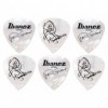Ibanez B1000PGPW - zestaw kostek gitarowych Paula Gilberta