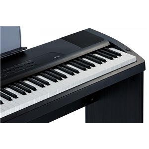 KURZWEIL MPS 20 - pianino cyfrowe