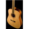 WASHBURN WD 10 S (N) seria WD - gitara akustyczna