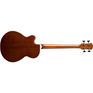 Washburn AB 5 (N) - gitara basowa elektroakustyczna