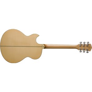 Washburn EA 20 (N) - gitara elektroakustyczna