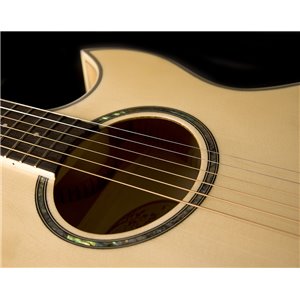 Washburn EA 20 (N) - gitara elektroakustyczna