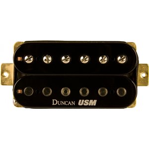 WASHBURN WIN STD (TSB) seria WIN - gitara elektryczna