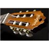 WASHBURN C 5 (N) seria C - gitara klasyczna