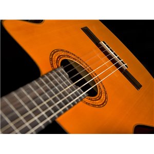 WASHBURN C 5 CE (N) seria C - gitara elektro-klasyczna