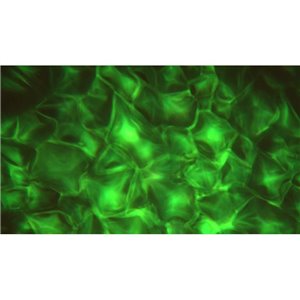 JB Systems LED AQUA - efekt świetlny LED