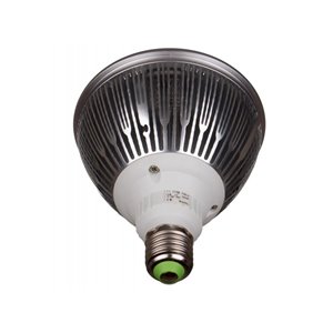 JB Systems LED-PAR38-18W-WW-24D - żarówka LED