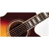 Takamine EF250TK - gitara elektro-akustyczna