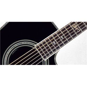 Takamine SW341SC - gitara elektro-akustyczna