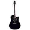 Takamine SW341SC - gitara elektro-akustyczna