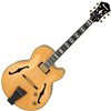 Ibanez PM200-NT - gitara elektryczna