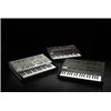 KORG ARP ODYSSEY Rev2 - syntezator analogowy