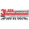 KORG PA300 PL - Profesjonalny aranżer + 100 polskich styli GRATIS!