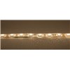 JB Systems LSI-120WW-3528-IP65-5M - taśma LED