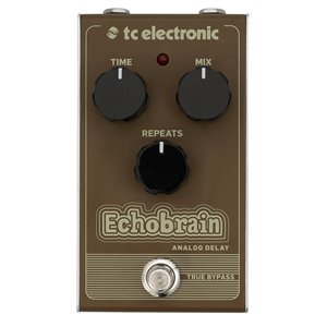 TC Electronic Echobrain Analog Delay - efekt gitarowy