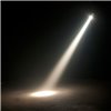 ADJ Saber Spot WW - reflektor SPOT LED