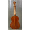 Ines C-215 - gitara klasyczna