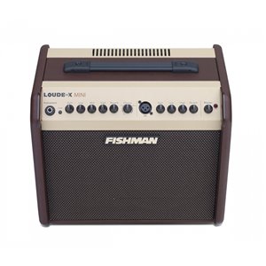 Fishman Loudbox Mini PRO-LBX-EX5 - gitarowe combo akustyczne