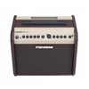 Fishman Loudbox Mini PRO-LBX-EX5 - gitarowe combo akustyczne