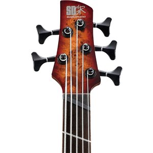 Ibanez SRMS805 BTT - gitara basowa