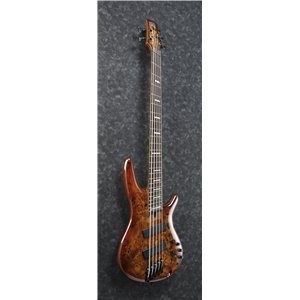 Ibanez SRMS805 BTT - gitara basowa