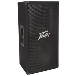 Peavey PV 112 - Kolumna głośnikowa, dwudrożna