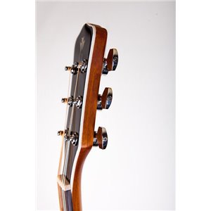 Levinson LD-223 NS - gitara akustyczna