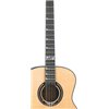 Luna Artist Nouveau - gitara elektroakustyczna