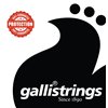 Galli RSB40120 - struny do gitary basowej
