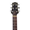 Blade Durango Deluxe DD1 RC/2TS - gitara elektryczna